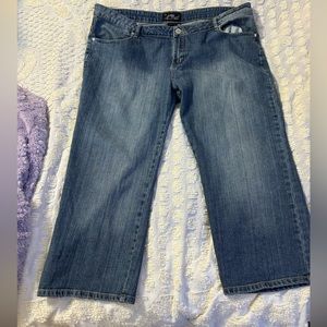 Vintage Platinum Plush Open Leg Style 7941X Size 19 Jeans